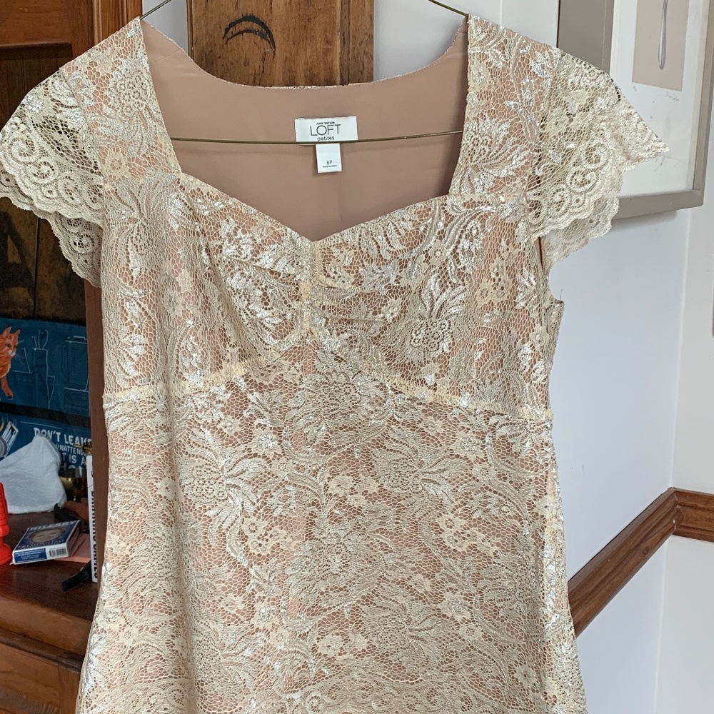 Ann Taylor loftbpetites sparkle lace blouse. Worn once
